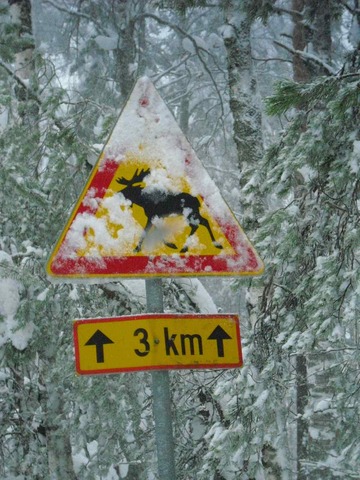 Verkehrszeichen auf finnisch