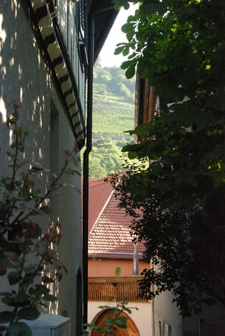 Heppenheim vor der Orientierungsfahrt