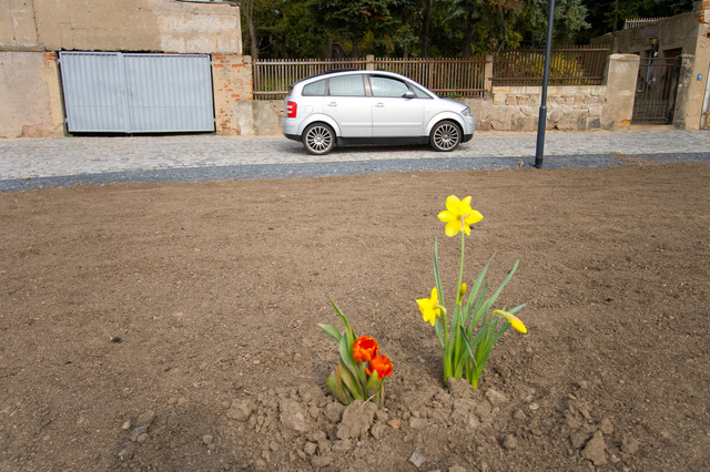 Der Frühling kommt!