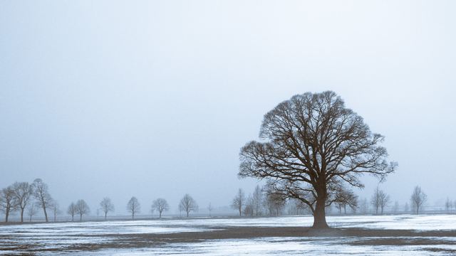 Heimfahrt über Dänemark